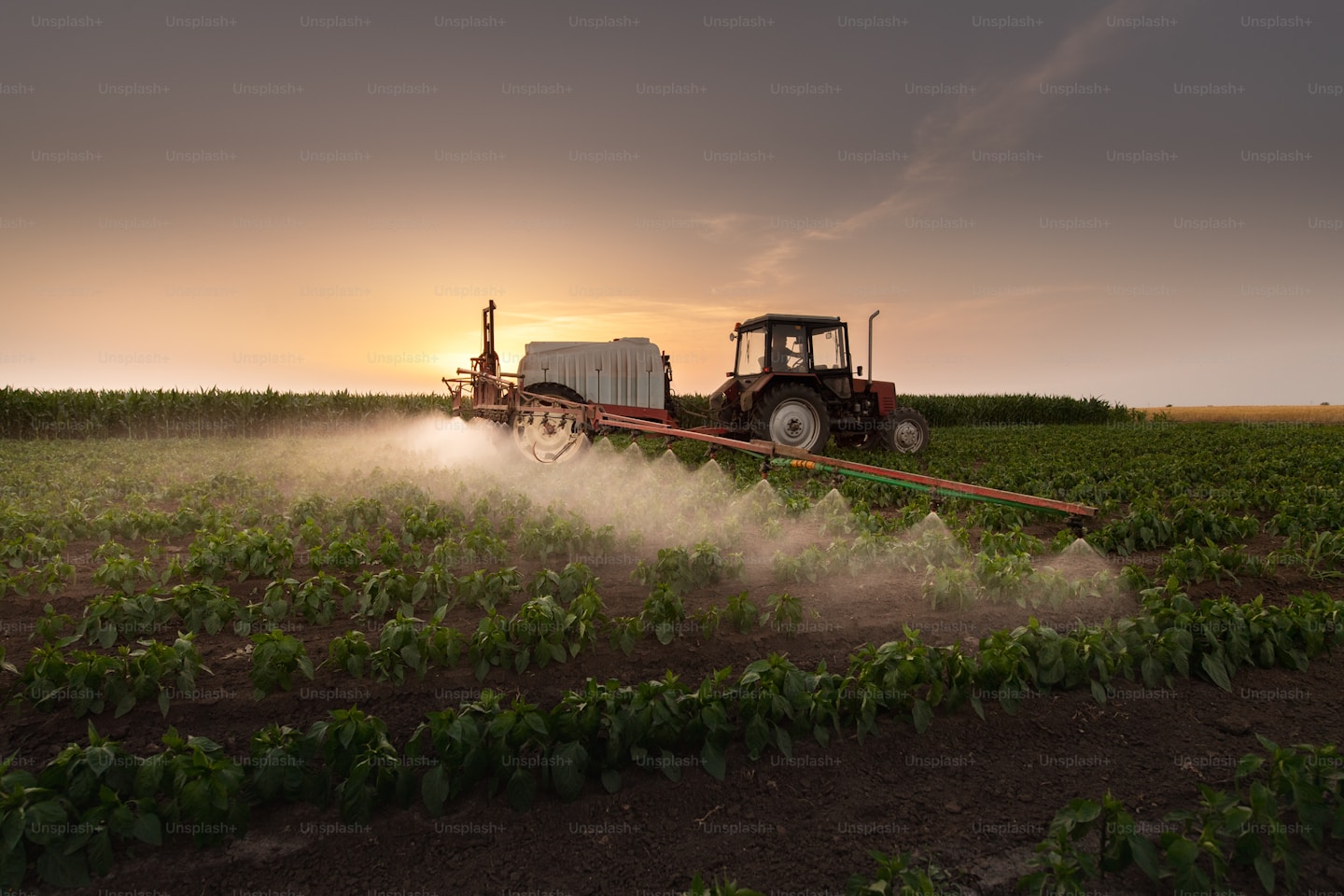 Agriculture