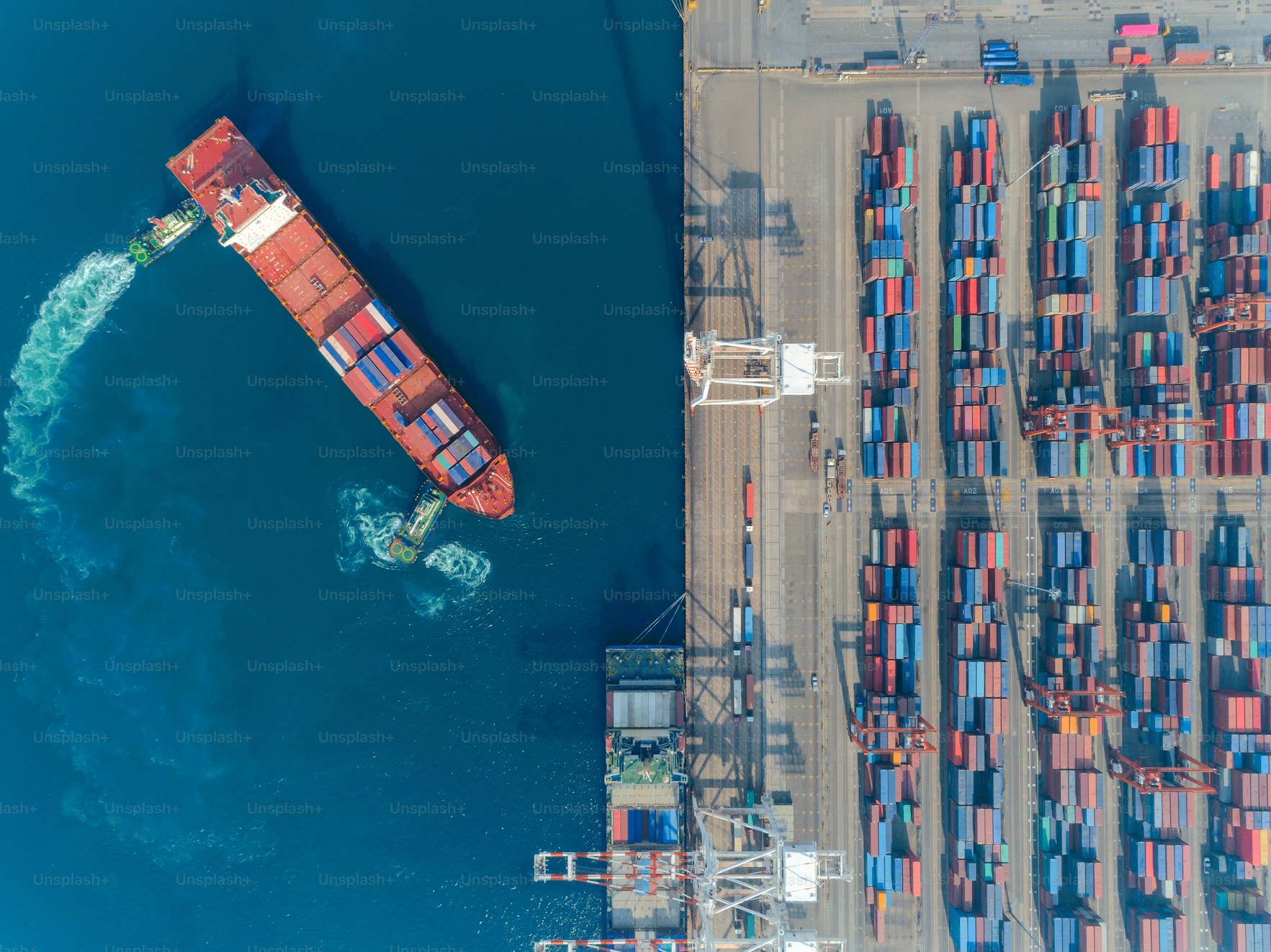 Export Activities